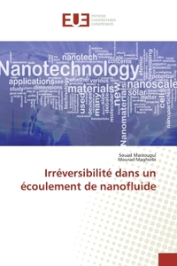Irréversibilité dans un écoulement de nanofluide