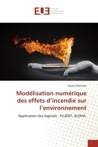Modélisation numérique des effets d'incendie sur l'environnement