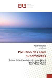 POLLUTION DES EAUX SUPERFICIELLES - ORIGINE DE LA DEGRADATION DES EAUX D'OUED MEDJERDA EN AMONTSOUK