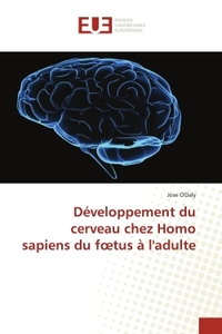 Développement du cerveau chez Homo sapiens du foetus à l'adulte