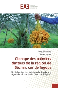 CLONAGE DES PALMIERS DATTIERS DE LA REGION DE BECHAR: CAS DE FEGOUS - MULTIPLICATION DES PALMIERS DA