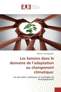 Les besoins dans le domaine de l'adaptation au changement climatique: