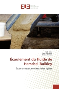 ECOULEMENT DU FLUIDE DE HERSCHEL-BULKLEY - ETUDE DE L'EVOLUTION DES ZONES RIGIDES