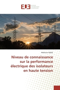 Niveau de connaissance sur la performance électrique des isolateurs en haute tension