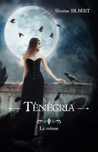 TENEGRIA TOME 2: LA VOLEUSE