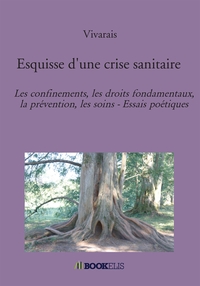 ESQUISSE D'UNE CRISE SANITAIRE - LES CONFINEMENTS, LES DROITS FONDAMENTAUX, LA PREVENTION, LES SOINS