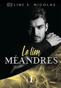 MEANDRES - TOME 1 : LE LIEN