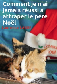 COMMENT JE N'AI JAMAIS REUSSI A ATTRAPER LE PERE NOEL