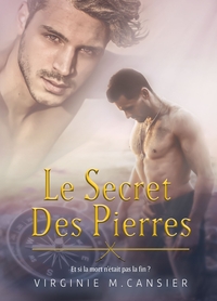 LE SECRET DES PIERRES - ET SI LA MORT N'ETAIT PAS LA FIN...