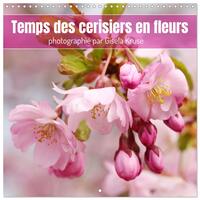 Temps des cerisiers en fleurs (Calendrier mural carré 2026 30x30 cm) Calendrier double avec une page pour vos prises de notes