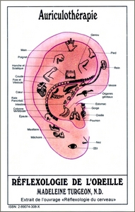 Fiches d'Auriculothérapie - Réflexologie de l'oreille - Réflexologie des mains