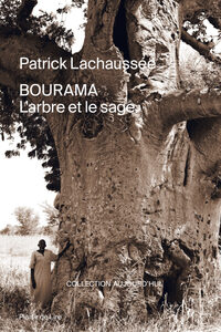 Bourama l’arbre et le sage