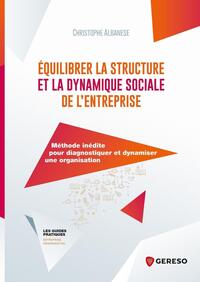 EQUILIBRER LA STRUCTURE ET LA DYNAMIQUE SOCIALE DE L'ENTREPRISE - METHODE INEDITE POUR DIAGNOSTIQUER