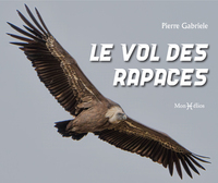 Le vol des rapaces