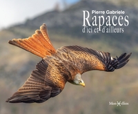 RAPACES