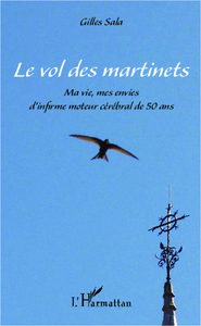 Le vol des martinets