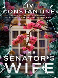 THE SENATOR'S WIFE