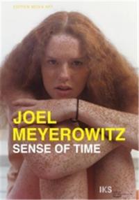 Joel Meyerowitz Sense of time A film by Ralph Goertz (DVD) /anglais