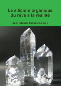 LE SILICIUM ORGANIQUE DU REVE A LA REALIITE