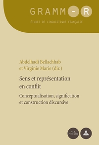 SENS ET REPRESENTATION EN CONFLIT - CONCEPTUALISATION, SIGNIFICATION ET CONSTRUCTION DISCURSIVE