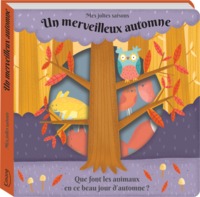 UN MERVEILLEUX AUTOMNE (COLL. MES JOLIES SAISONS)