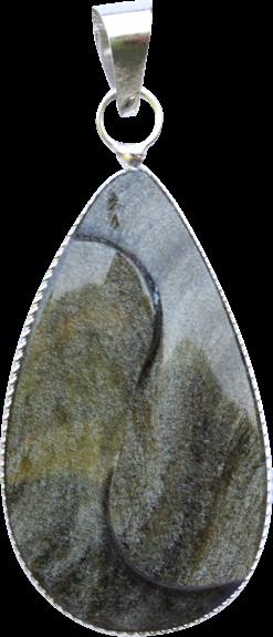 3660341556504