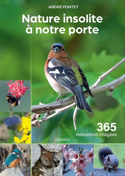 9782889850099