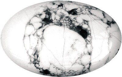 3660341723579