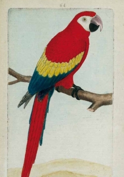 9782019119171