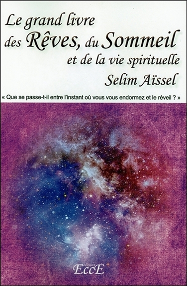 9782351953563