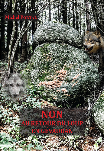 9782906868397
