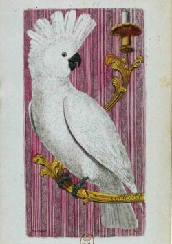 9782011168511
