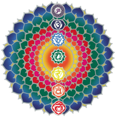 3660341408599
