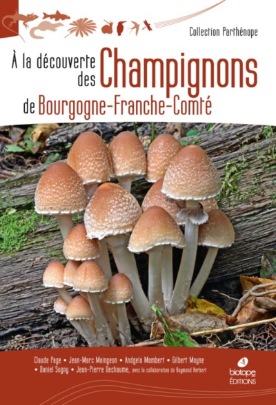 A la découverte des Champignons de Bourgogne-Franche-Comté