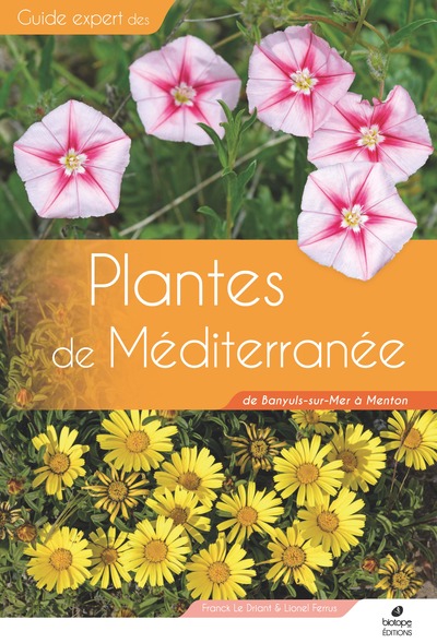Plantes de Méditerranée