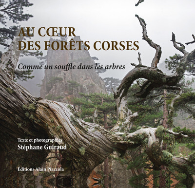 Au coeur des forêts corses - Comme un souffle dans les arbres