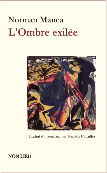 L'OMBRE EXILEE : ROMAN-COLLAGE