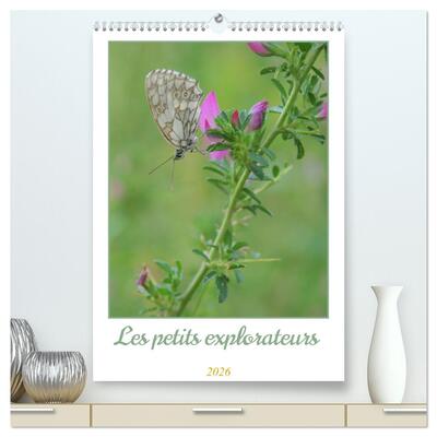 CALVENDO Nature - Les petits explorateurs (Calendrier mural 2026 DIN A2 horizontal) calendrier de bureau - Découvrez la magie des insectes !