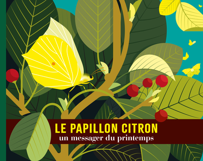 Le papillon citron - un messager du printemps