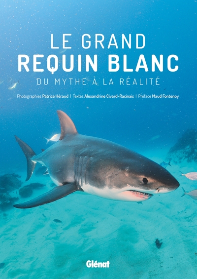 Le grand requin blanc - Du mythe à la réalité