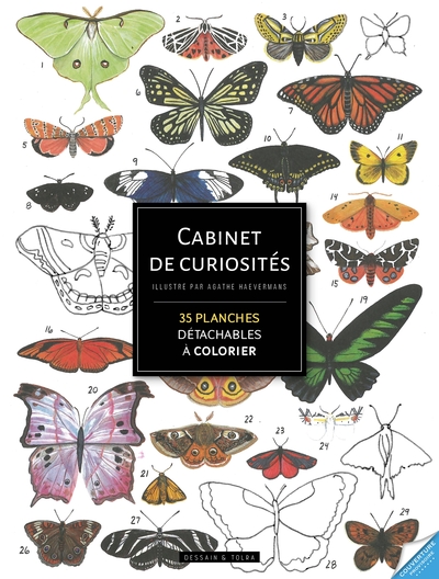 Cabinet de curiosités - 70 planches pour s'inspirer et colorier