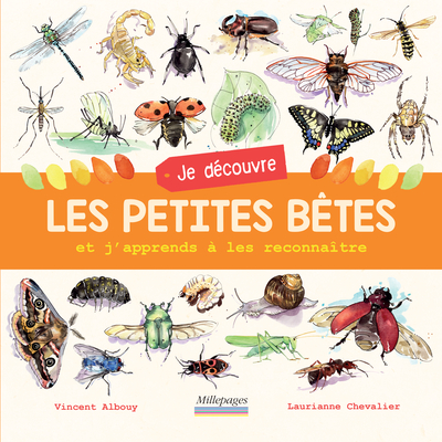 Je découvre les petites bêtes - Et j'apprends à les reconnaître