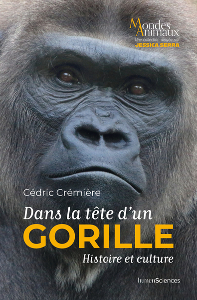 Dans la tête d'un gorille - Histoire et culture