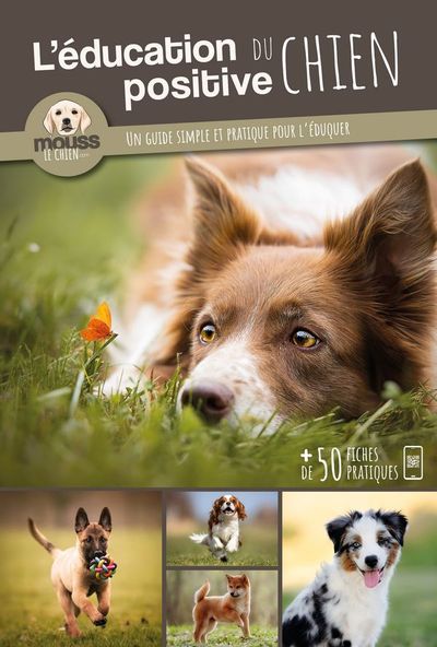 L'éducation positive du chien - Un guide simple et pratique pour l'éduquer