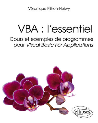 VBA : l’essentiel - Cours et exemples de programmes pour Visual Basic For Applications