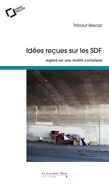 Idees recues sur les sdf - regard sur une réalité complexe