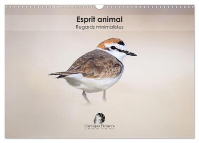 CALVENDO Nature - Esprit animal - Regards minimalistes (Calendrier mural 2026 DIN A3 vertical), CALVENDO calendrier mensuel - Un calendrier raffiné qui capture, mois après mois, la force et l'émotion des animaux à travers des portraits minimalistes et épurés.