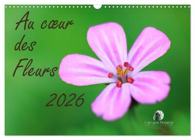 CALVENDO Nature - Au coeur des fleurs (Calendrier mural 2026 DIN A3 vertical), CALVENDO calendrier mensuel - Une immersion délicate au plus près des pétales, où chaque fleur révèle sa beauté intime, ses couleurs vibrantes et la poésie cachée de la nature.
