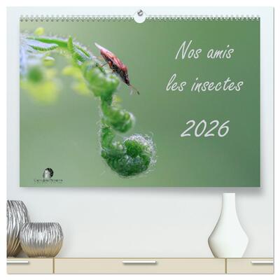 CALVENDO Nature - Nos amis les insectes  (Calendrier mural 2026 DIN A2 vertical) calendrier de bureau - Un regard fascinant sur le monde miniature des insectes.