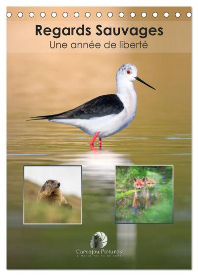 CALVENDO Nature - Regards sauvages - Une année de liberté (Calendrier de bureau 2026 DIN A5 horizontal), CALVENDO calendrier mensuel - Un calendrier captivant qui célèbre, mois après mois, la beauté et la force des animaux sauvages dans toute leur liberté.